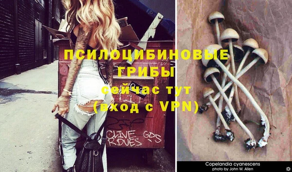 ALPHA PVP Балахна